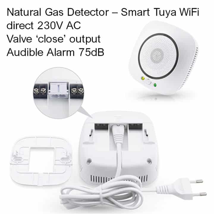Smart Wifi Natural Gas Detector Ch4 Valve Close And Alarm Tuya App 9009